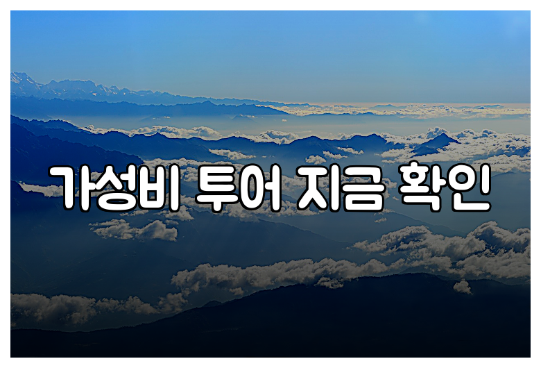 가성비 투어 지금 확인