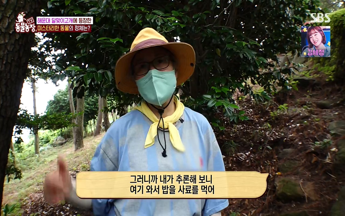 TV 동물농장.E1079.220725p-NEXT.mp4_20220724_151950.117.jpg