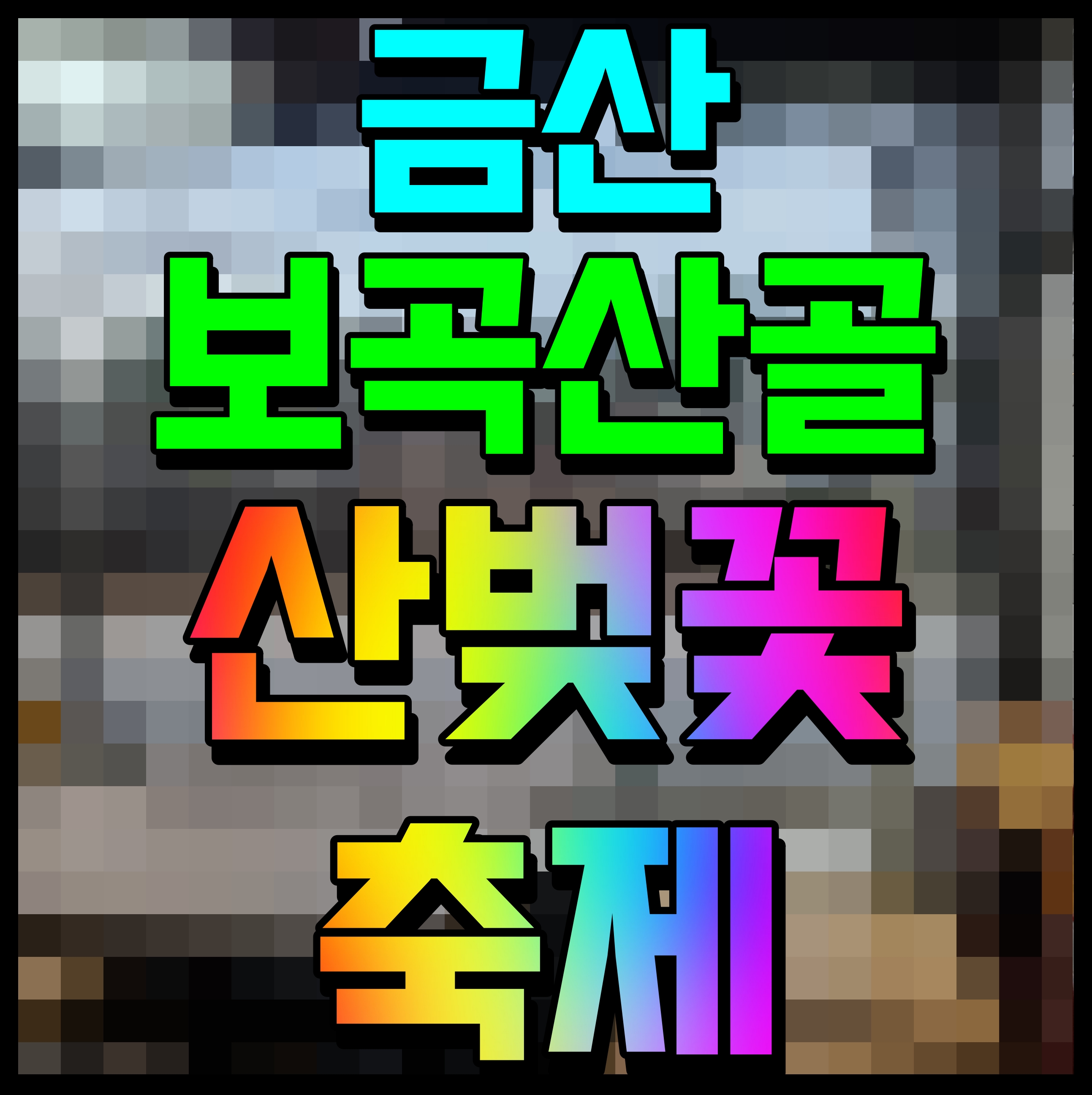  금산 보곡산골 산벚꽃 축제 봄의 싱그러움을 느껴보자