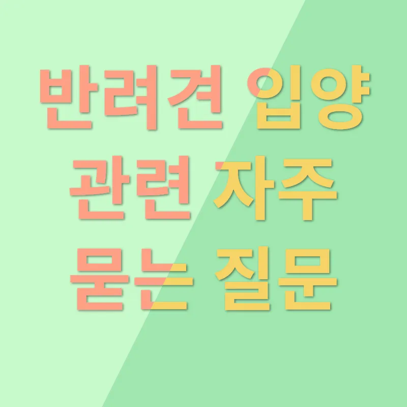 애견 입양_4