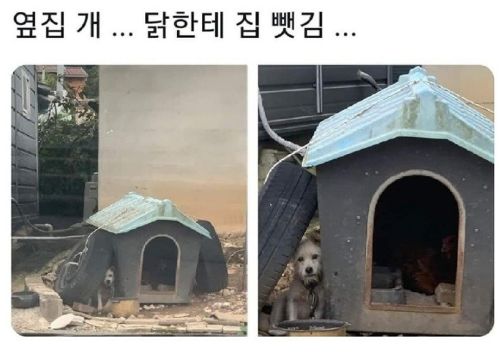  세입자에게 집 뺏긴 집주인ㅜㅜㅜ