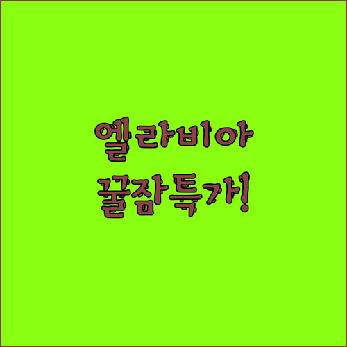엘라비아 매트리스 & 토퍼 특가! 꿀