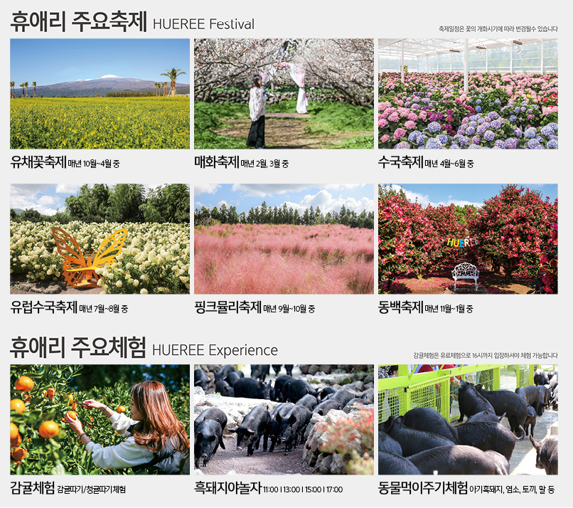 체험 프로그램