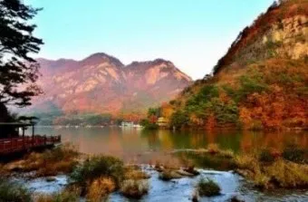 출렁이는 숲의 전설 미스터리_13