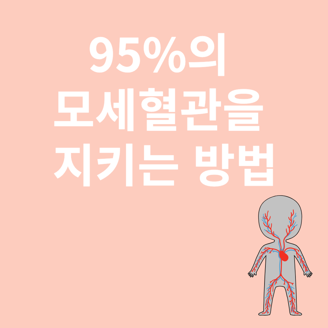 모세혈관과 관련된 이미지