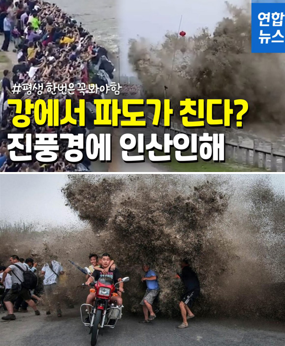뿌스러기 이미지