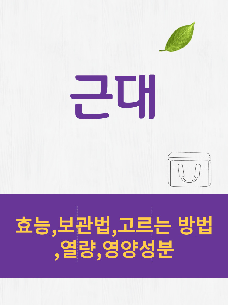  근대 효능 및 열량과 보관법 칼로리 총정리 