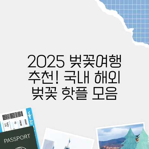 2025 벚꽃여행 추천! 국내·해외 벚꽃 핫플 모음