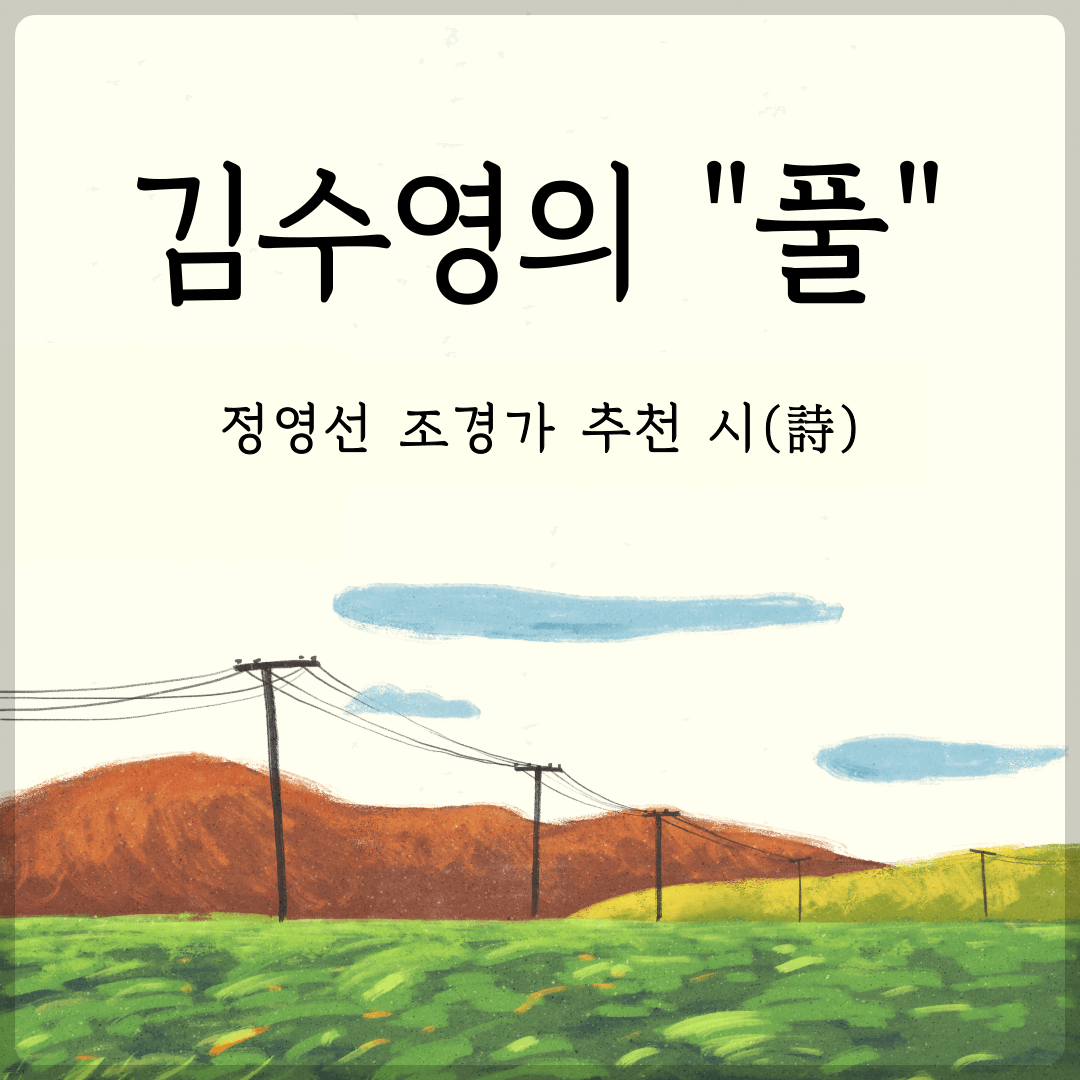 김수영 풀 - 정영선 조경가 - 유퀴즈온더블럭