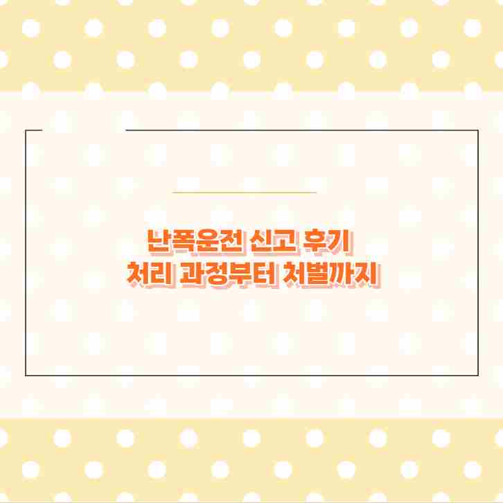 난폭운전 신고 후기 처리 과정부터 처벌까지