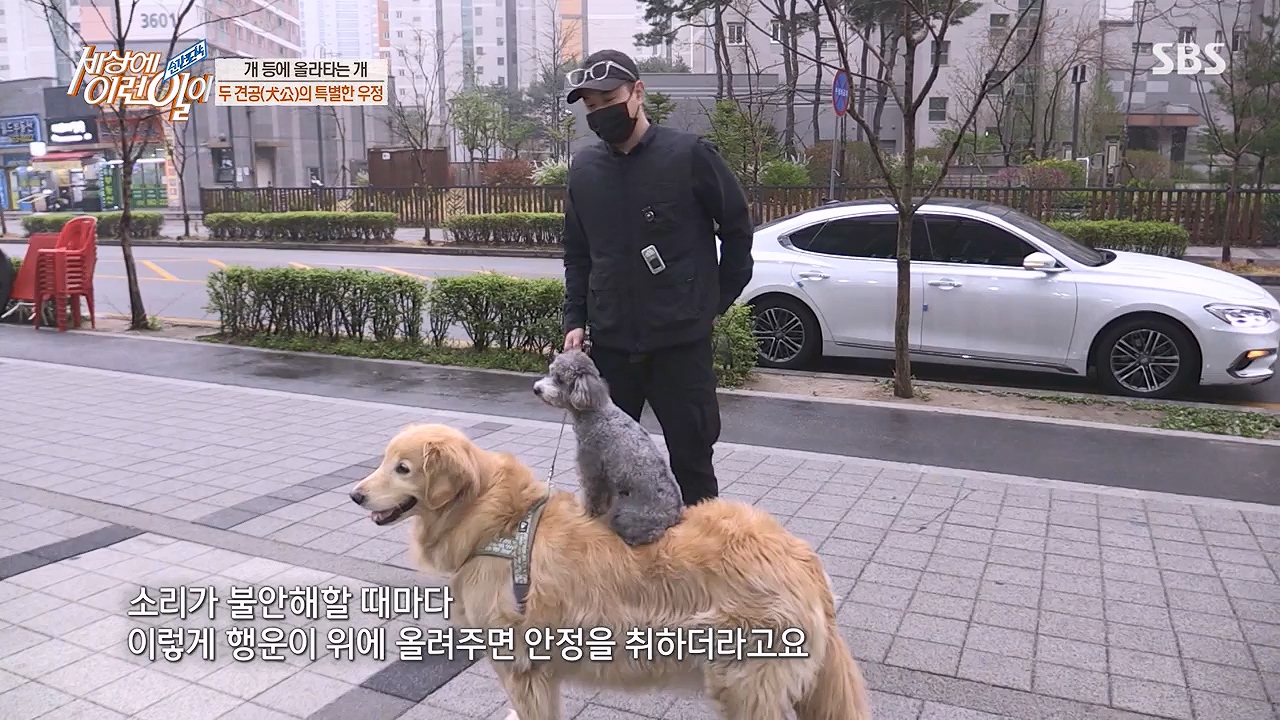 순간포착 세상에 이런일이.E1228p-NEXT.mp4_20230503_200106.205.jpg