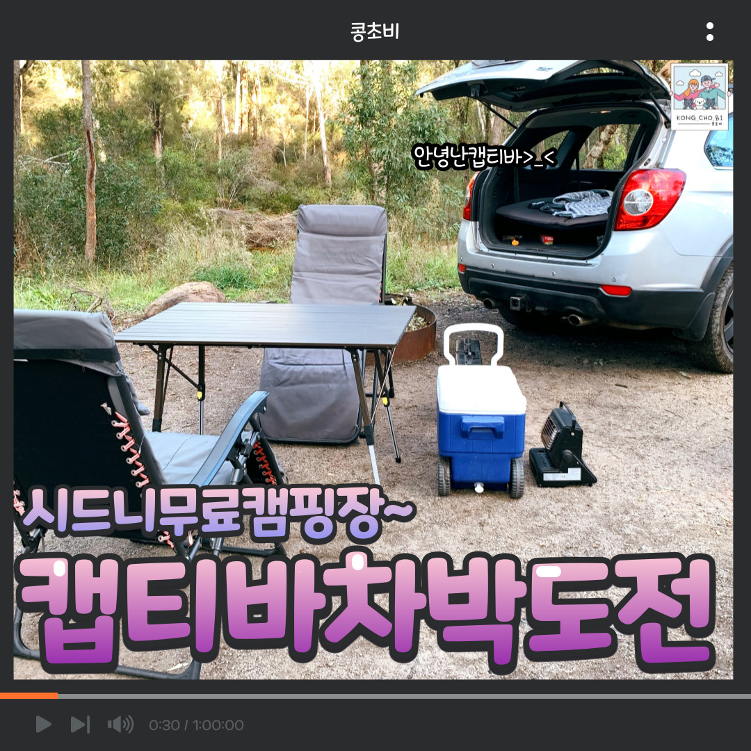  시드니 무료 캠핑장에서 캡티바 차박하기