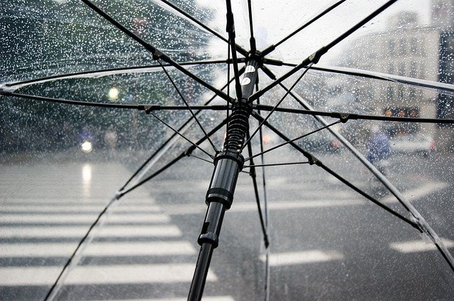 거리에서-우산을-쓴-모습