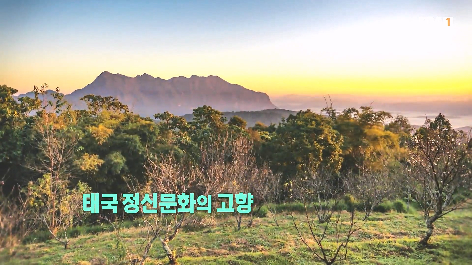 세계테마기행 240222 태국 북부 인생길 기행 -대찬 인생, 소박한 행복0p.mp4_20240807_200729.006.jpg