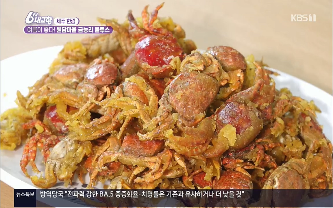 6시 내고향.E7583.220727p.H264-F1RST.mp4_20220727_213857.207.jpg
