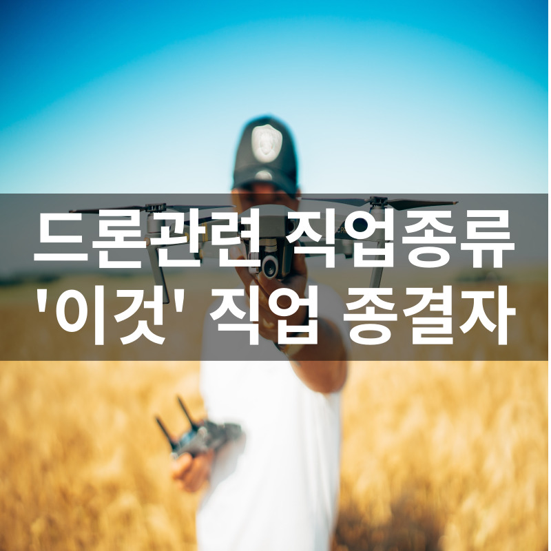 드론 관련 직업 사업 대학