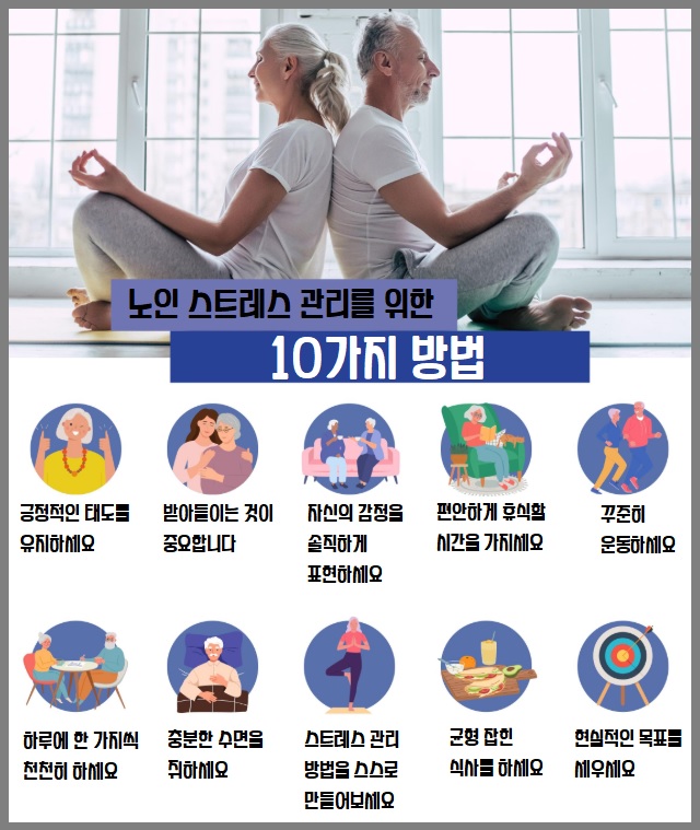 노인 건강 관리 총정리: 활력 넘치는 노년의 비결
