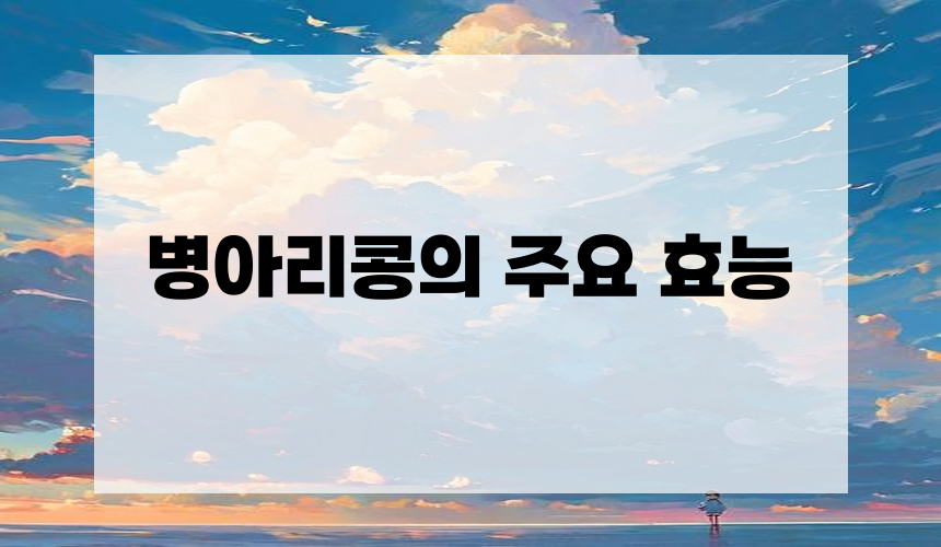 병아리콩의 주요 효능
