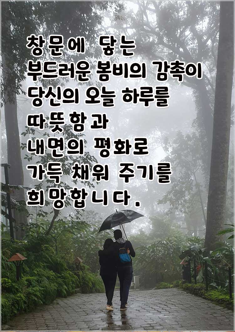 봄비 인사말 비오는 날 좋은 인사문구-창문에 닿는부드러운 봄비의 감촉이 당신의 오늘 하루를 따뜻함과 내면의 평화로 가득 채워 주기를 희망합니다.