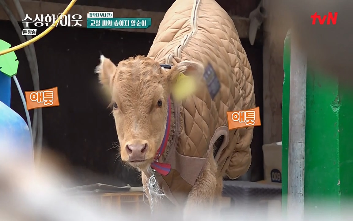 수상한 이웃.E03.220415p-NEXT.mp4_20220416_182113.101.jpg