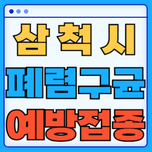 강원도 삼척시 폐렴구균 백신 무료 예방접종 비용지원 가격 신청방법 대상자 간격 13가 15가 20가 23가