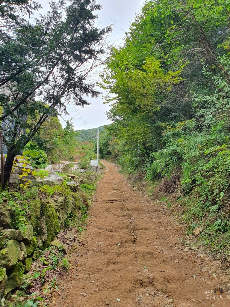 파주 감악산 정상 가는 길