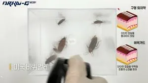 바퀴벌레 퇴치방법