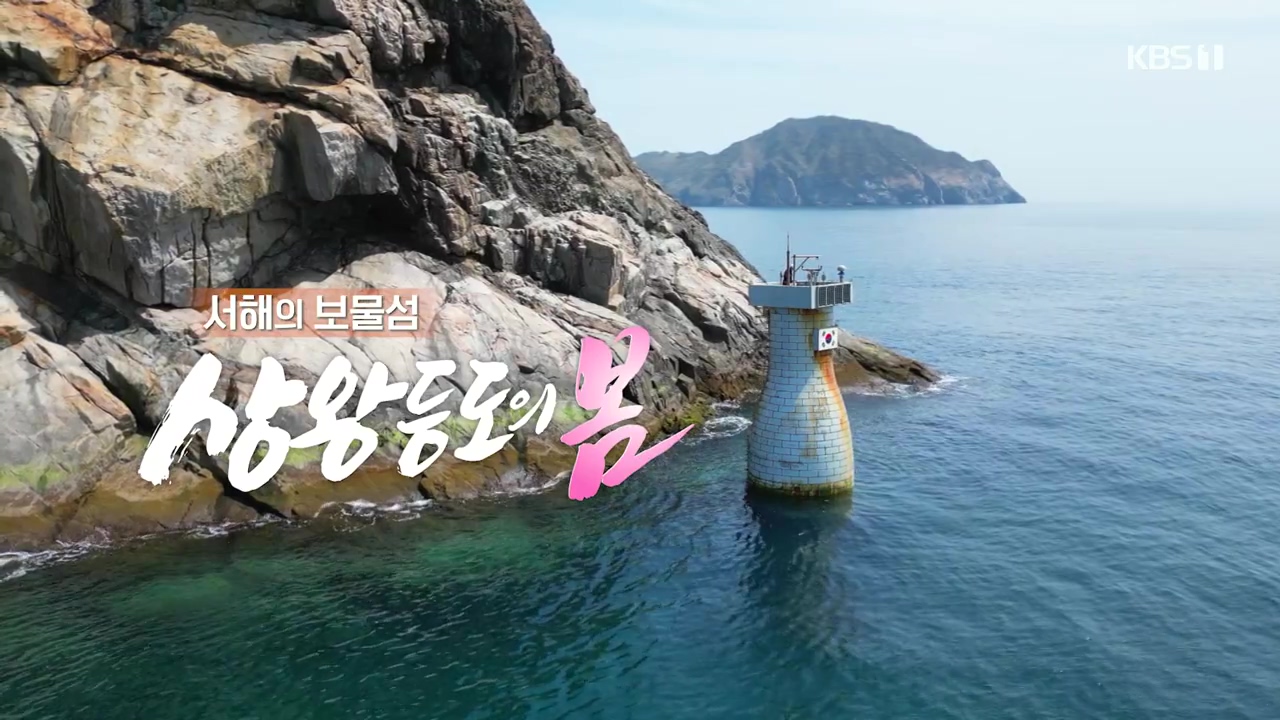 다큐 온.E249.240526p-NEXT.mp4_20240526_150145.112.jpg