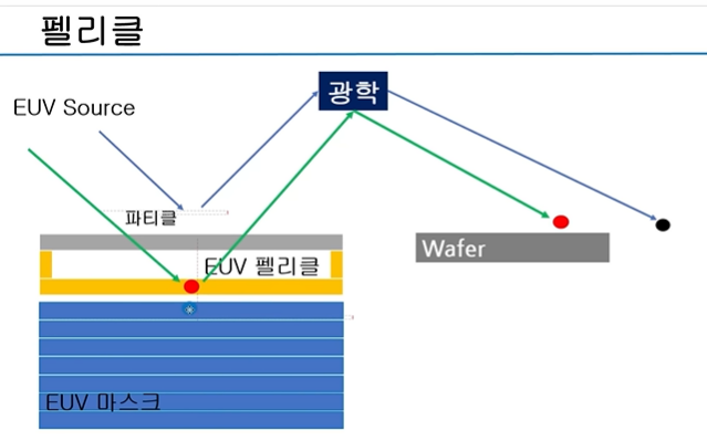 펠리클