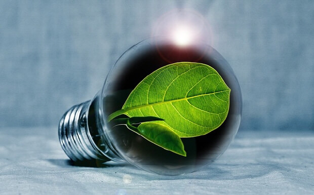 백열전구-속-푸른-잎-에너지를-줄이면-환경을-지킬수-있다-