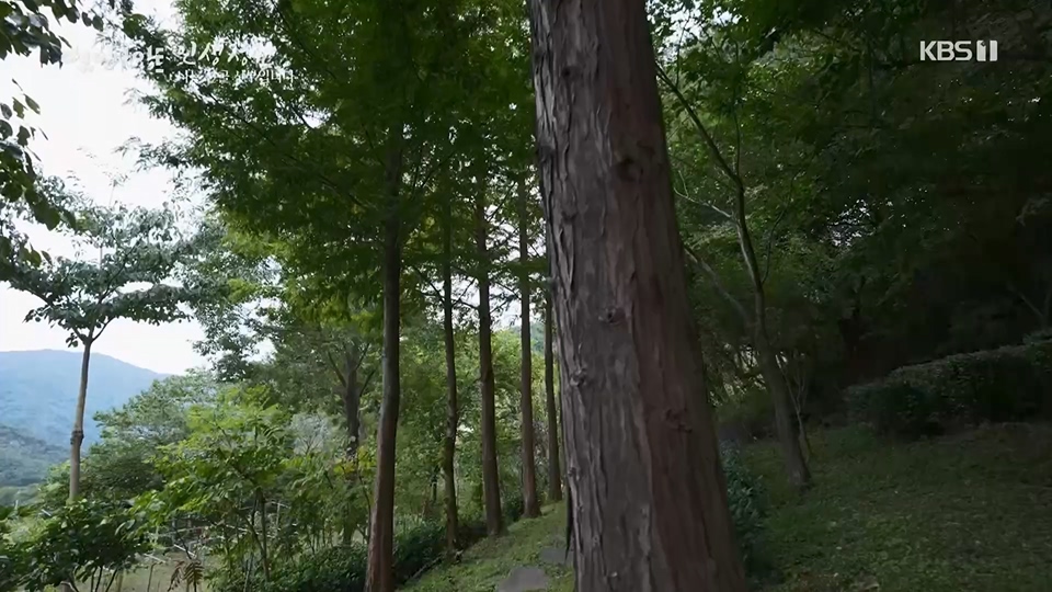 다큐 인사이트.E153.230608p.H264-F1RST.mp4_20230612_204529.150.jpg