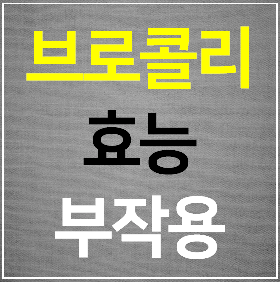  브로콜리 효능 부작용 완벽 정리 (영양성분)