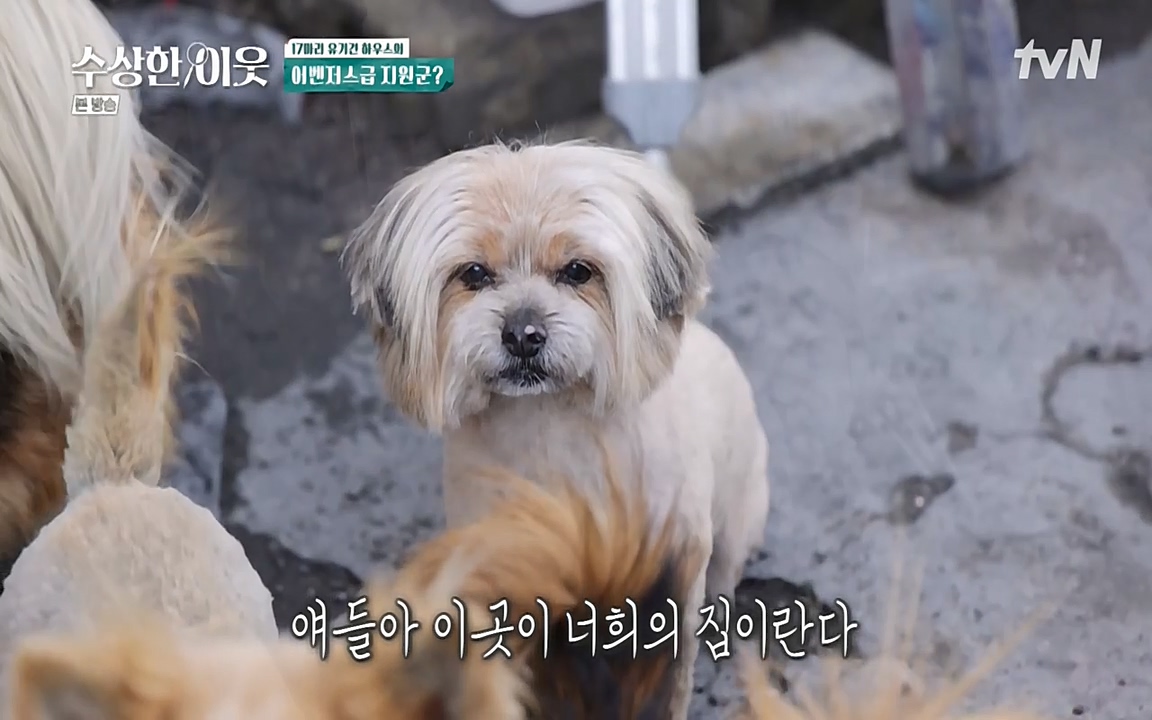 수상한 이웃.E04.220422p-NEXT.mp4_20220424_193240.031.jpg