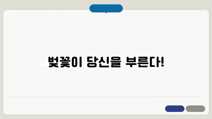 놓치면 후회하는 대한민국 벚꽃 명소 BEST 10