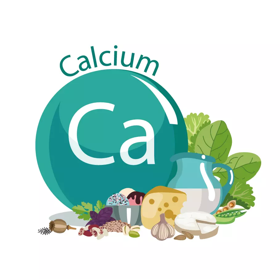  신경 전달부터 근육 수축까지, 칼슘(Calcium)이 하는 일은 무엇일까?