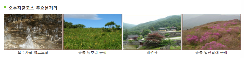 주요 볼거리