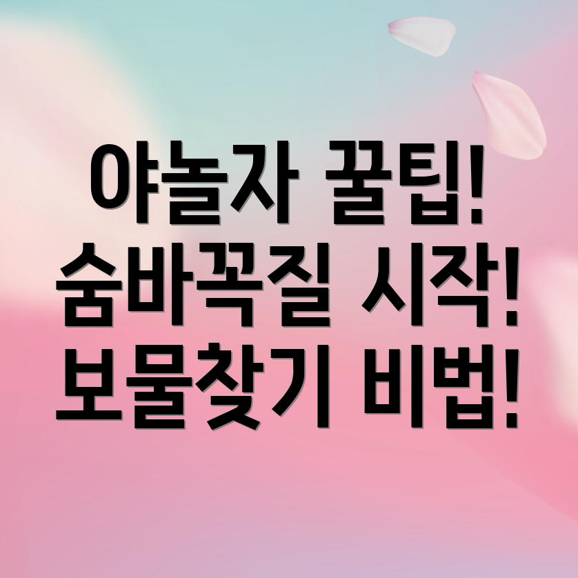 보물찾기 꿀팁