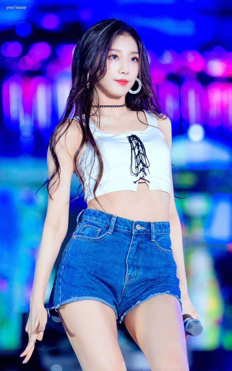 예인 이미지