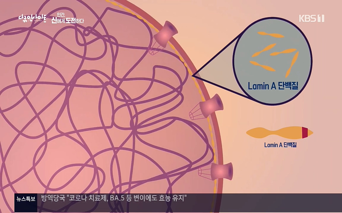 다큐 인사이트.E121.220819p.H264-F1RST.mp4_20220822_180802.781.jpg