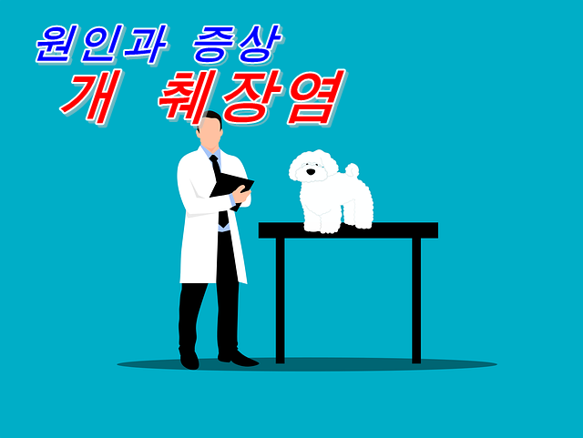  개의 췌장염이란? 췌장의 기능과 췌장염의 증상, 치료법