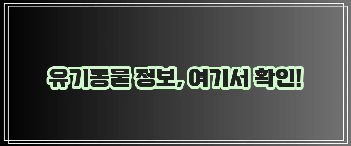 동물보호관리시스템 홈페이지 animal go kr 꼭 확인하세요