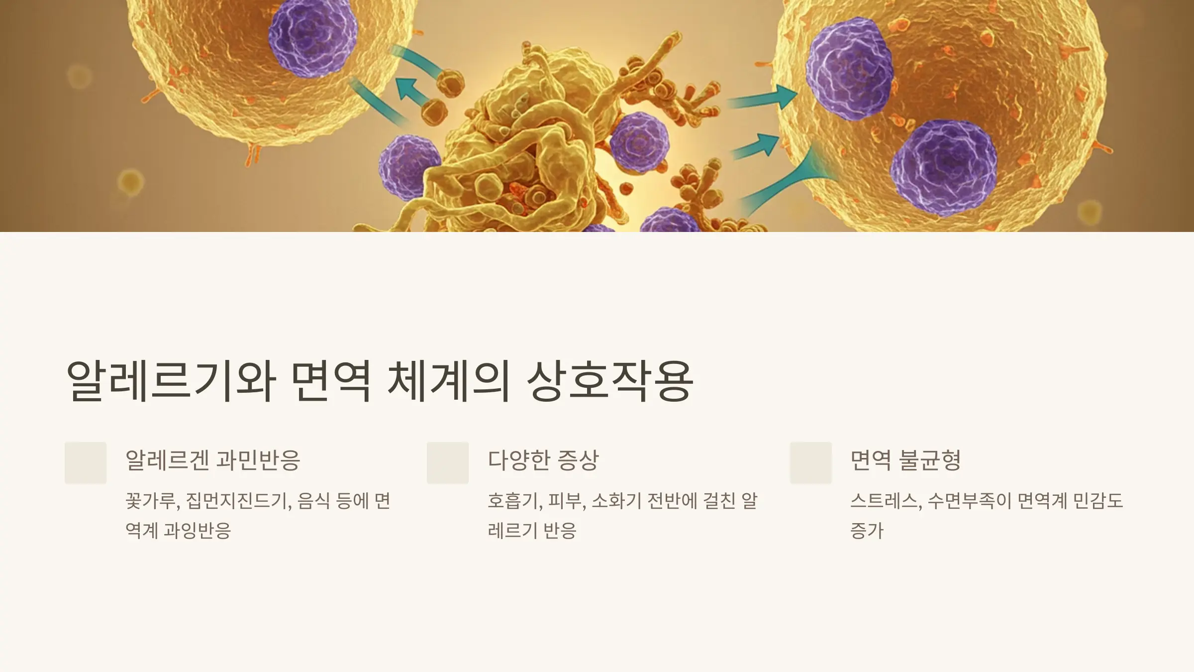 알레르기와 면역 체계의 상호작용