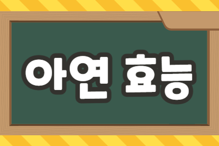 아연 효능