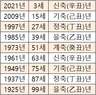 2023년소띠나이