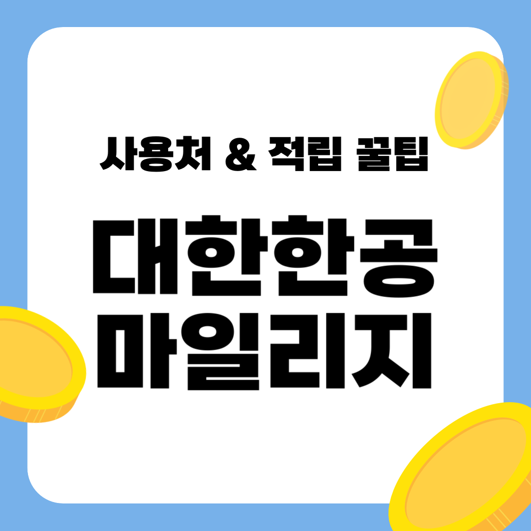 대한한공 마일리지 총정리