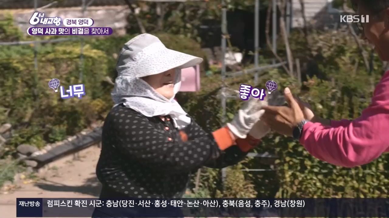 6시 내고향.E7907.231108p.H264-F1RST.mp4_20231108_204719.015.jpg