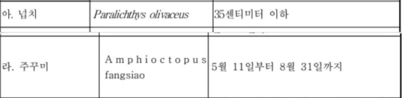 인천 영종도 무의도 잠진도 포인트 광어 쭈꾸미 무늬오징어 갑오징어 주꾸미 낚시