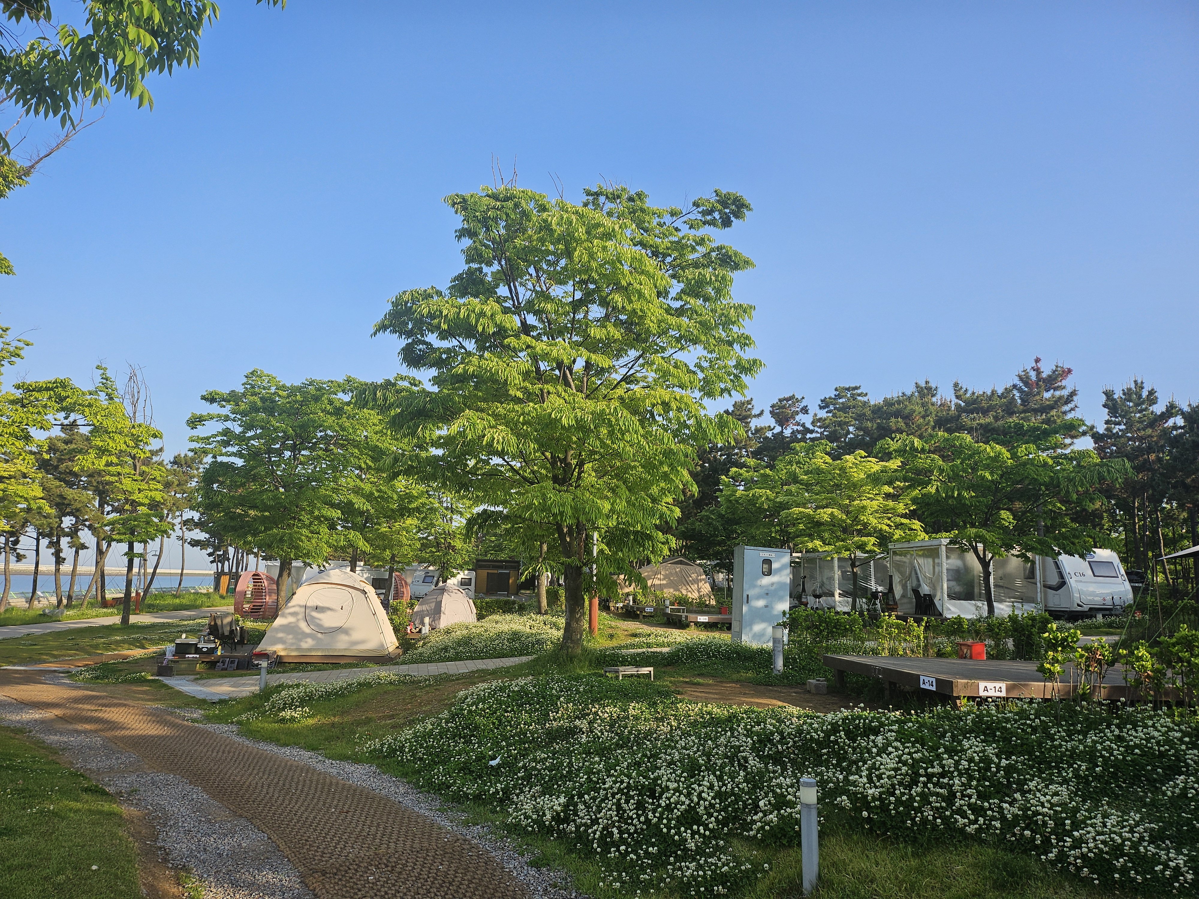 송도국제캠핑장 예약방법