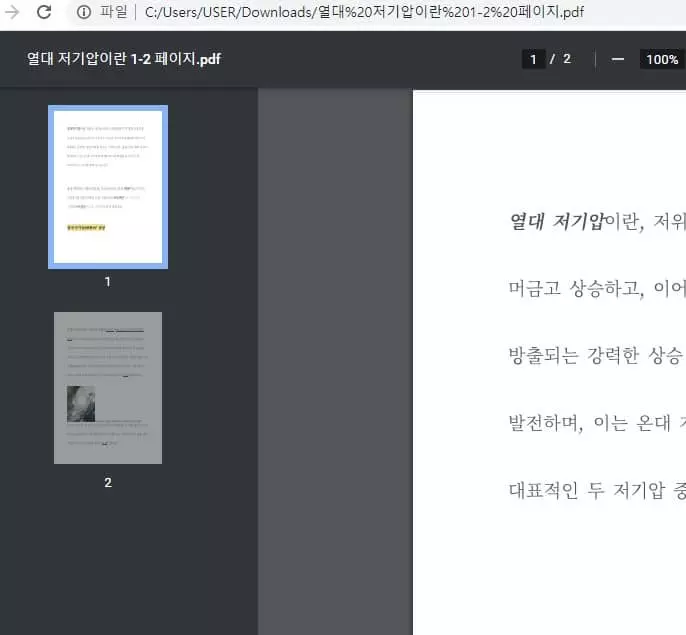 첫 두 페이지만 다운로드가 된 모습
