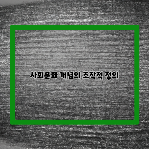  사회문화 개념의 재해석과 그 의미에 대한 오해와 확신을 동시에 가지게 하는 조작적 정의